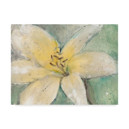 Tim Otoole 'Floral Spirit Iii' Canvas Art,35x47